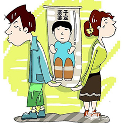防城港隐私亲子鉴定收费情况，防城港隐私亲子鉴定办理流程